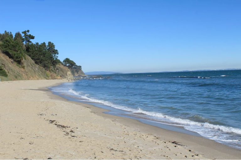 Playa de Cocholgüe, Tomé