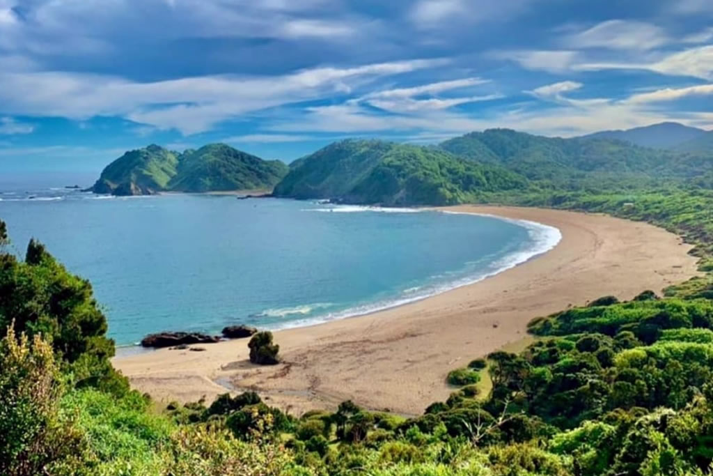 Playa Cole Cole