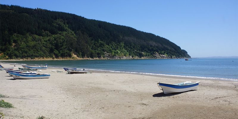 Playa y caleta de Llico, Vichuquén