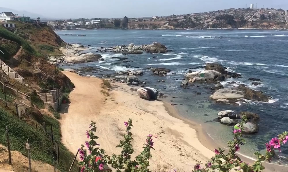 Playa El Libro, Quintero