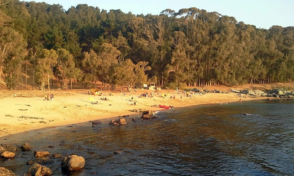 Playa El Lilén, Papudo