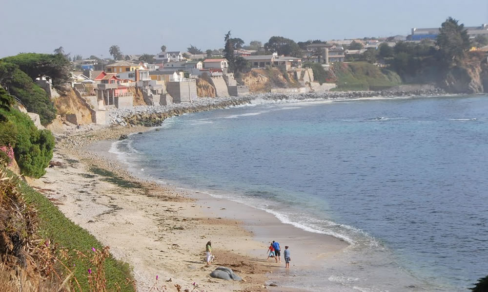 Playa El Papagallo, Quintero