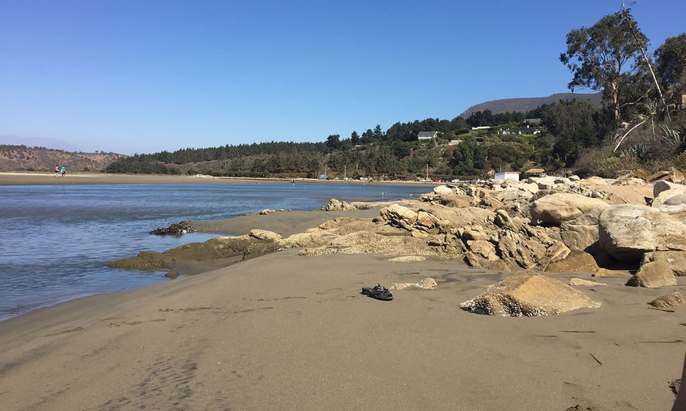 Sector de Playa Las Salinas de Pullally, Papudo