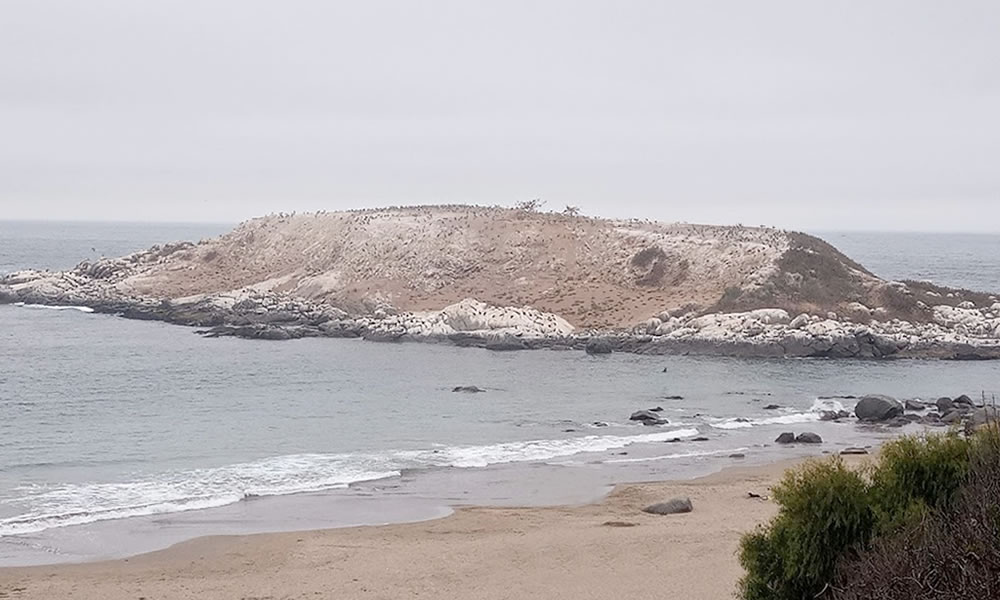 Playa Los Coirones frente a la isla de Cachagua