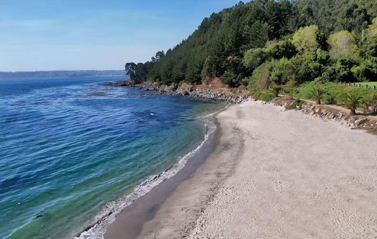 Playa Punta de Parra