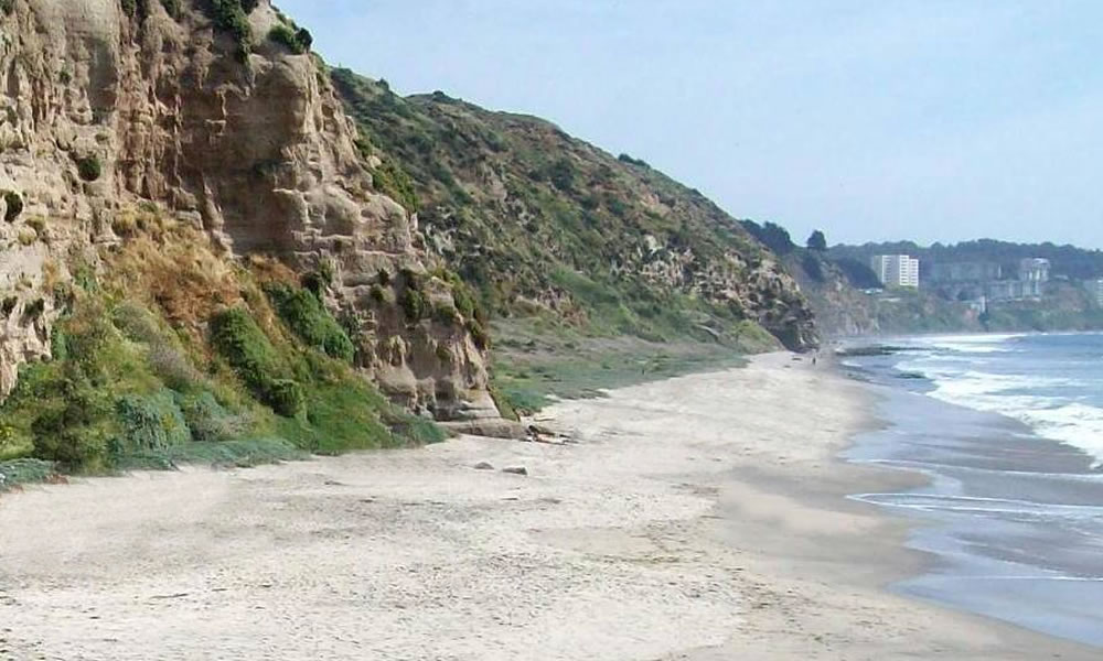 Playa Luna Horcón, Puchuncaví