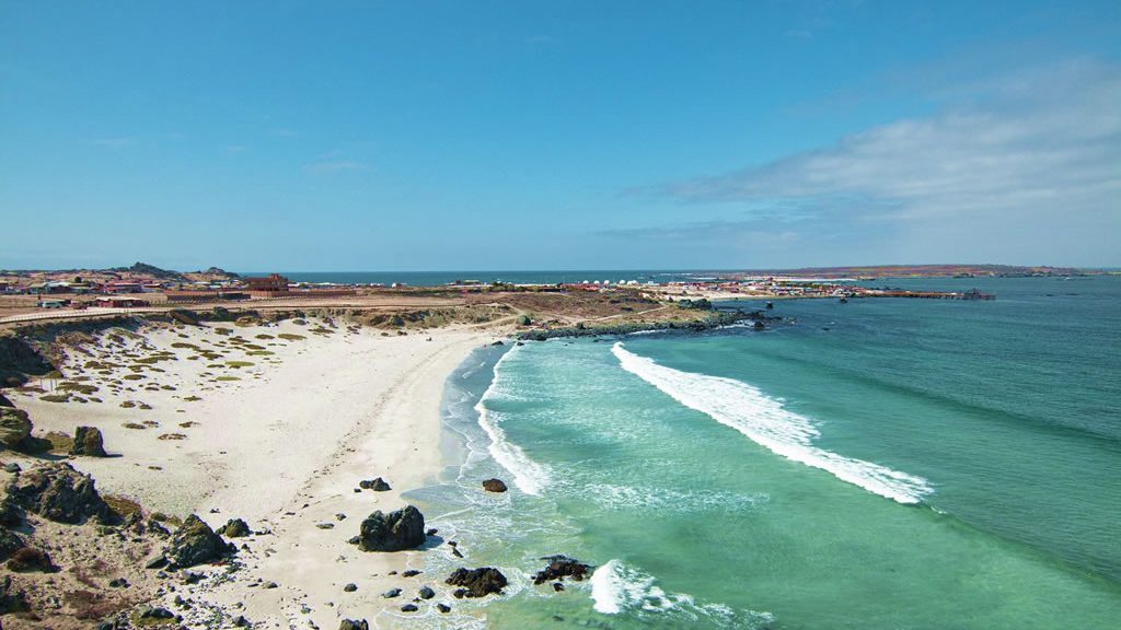 Playa Punta de Choros, La Serena