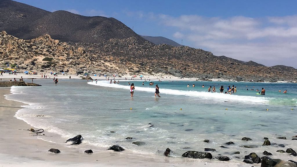 Playa Totoralillo Coquimbo